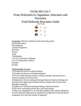 Preview of NGSS MS LS1-7 From Molecules to Organisms: Food Molecule Study Guide with Key