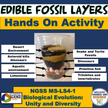 Preview of Fossil Record Project Based Assessment NGSS MS-LS4-1 Print or Digital 