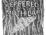 NGSS Peppered Moth Lab & Natural Selection MS-LS4-4 & MS-LS4-6