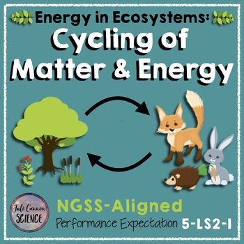 Preview of NGSS Model Matter and Energy in Ecosystems (5-LS2-1 and MS-LS2-3)