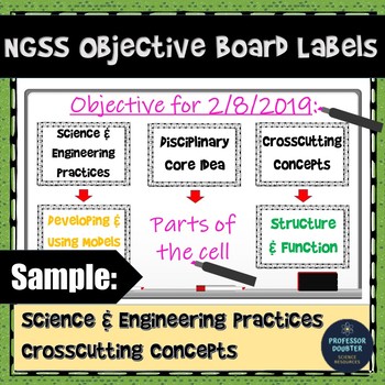 Preview of NGSS Objective Labels and Targets for Chalkboard Whiteboard or as Posters