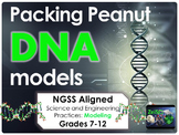 NGSS Packing Peanut DNA Models