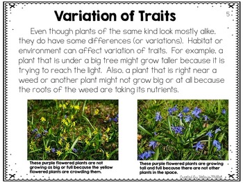 Structure and function of plants