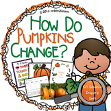 NGSS Pumpkin and Five senses Unit Kindergarten First Grade