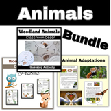 NGSS Science Animal Adaptations Classroom Decor April  Spr