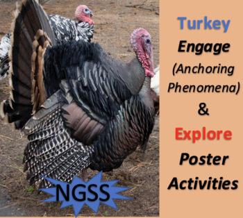 Preview of NGSS Turkey Engage (Anchoring Phenomena) and Explore (Poster) Activities