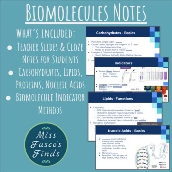 Preview of NO PREP Biomolecules Lecture & CLOZE Notes