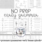 NO PREP Early Grammar (plurals, pronouns, verb tenses)