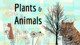 NO PREP - Plants & Animals Research & Writing Activity!