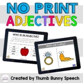 NO PRINT Adjectives and Describing Interactive PDF