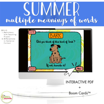 Preview of NO PRINT Summer Multiple Meaning Words Speech Language Activities in Context