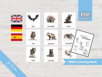 Preview of NOCTURNAL ANIMALS • 24 Montessori Cards • German Spanish Flash Card Nomenclature