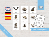 NOCTURNAL ANIMALS • 24 Montessori Cards • German Spanish F