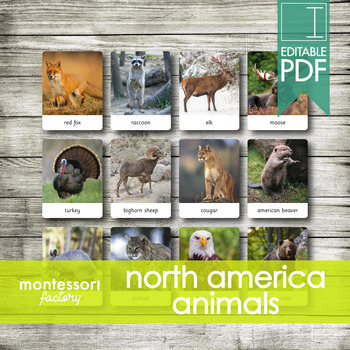 Preview of NORTH AMERICA ANIMALS • Montessori Cards • Flash Cards • Three Part Cards