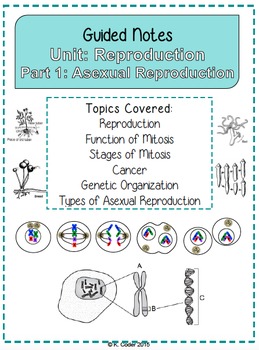 Preview of NOTES BUNDLE - Asexual Reproduction *EDITABLE* w/ PowerPoint