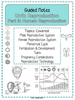 Preview of NOTES BUNDLE - Human Reproduction *EDITABLE* w/ PowerPoint
