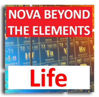 Nova Origins How Life Began Worksheet