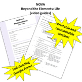NOVA - Beyond the Elements: Life (Self-grading and printab