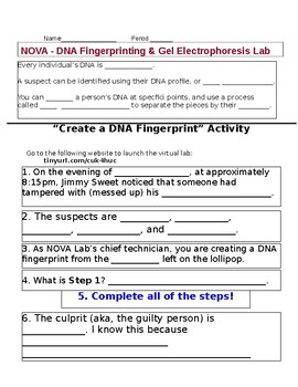dna fingerprint analysis answer key