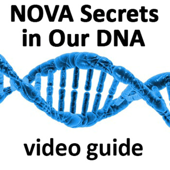 Preview of NOVA Secrets in Our DNA Questions | ANSWERS | MOVIE GUIDE | Worksheet (2022)