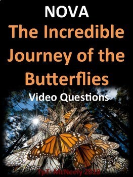 incredible journey of the butterflies worksheet