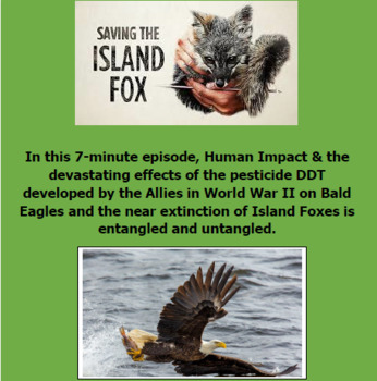 Preview of NPR Worksheet & Hyperlink "To Save a Fox" (Eagles & DDT, Human Impact, Ecology)