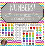 Toddler Busy Binder-Poster-Interactive Activity-NUMBERS-Ho