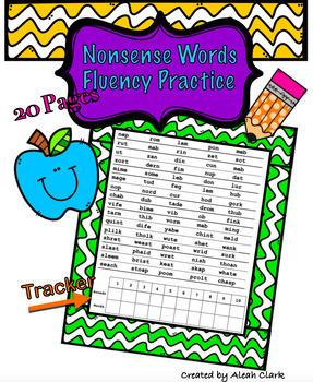 Preview of NWF Nonsense Words Practice for mClass DIBELS 8 Test 2nd Grade