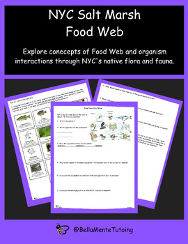 Preview of NYC Food Web Activity