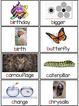 Preview of NYCDOE PreK Transformation Unit Vocabulary Cards w/Digital Activities
