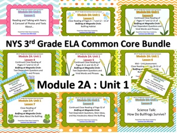 Preview of NYS 3rd Grade ELA Common Core Module 2A Unit 1 Bundle