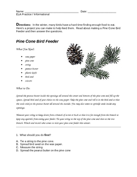 Preview of NYS ELA Practice -- Informational Reading -- Pine Cone Bird Feeder