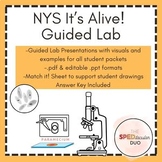 NYS It's Alive Guided Lab Presentation & Reference Sheet