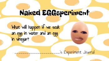 Alpha science classroom：egg in vinegar experiment