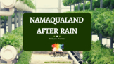 Namaqualand After Rain by Plomer PowerPoint IEB Poetry 2023-2025