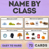 NAME BY CLASS 72 Category Task Cards Autism Sped Speech Th