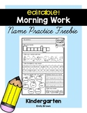 Name Practice Freebie • Editable
