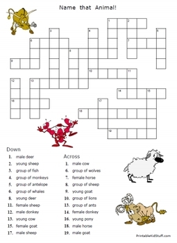 Name That Animal! crossword puzzle by Fran Lafferty | TpT
