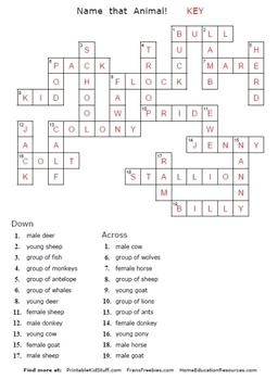 Name That Animal! crossword puzzle by Fran Lafferty | TPT