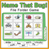 Name the Bug Insect Vocabulary Game: Spring Activity File 