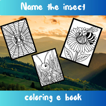 Preview of Name The Insect Coloring E book