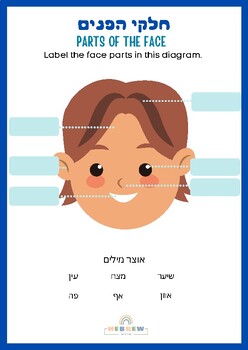 Preview of Name face parts in Hebrew  שמות חלקי הפנים בעברית