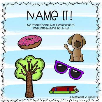 Preview of Name it (Basic object expressive and receptive language activity)