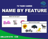 72 Name/select by FEATURE Task Cards Autism Speech Therapy