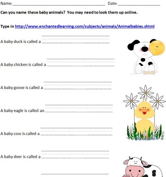 Baby Animal Names Teaching Resources | TPT