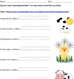 Computer Class - Name the Baby Animal Internet Search