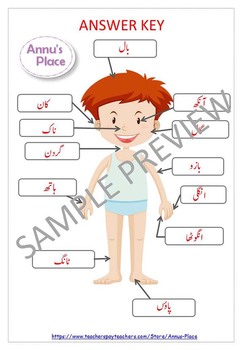 Name the Body Parts Worksheets for Urdu Language ...