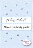 Name the Body Parts Worksheets for Urdu Language - Homeschooling