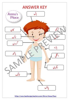 name the body parts worksheets for urdu language homeschooling