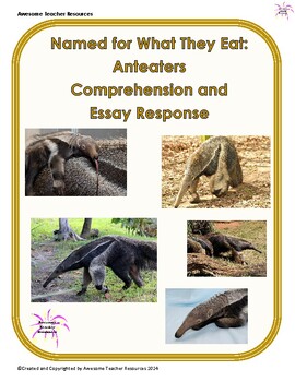 Preview of Named  for What They Eat: Anteaters Reading Comprehension and Essay Response